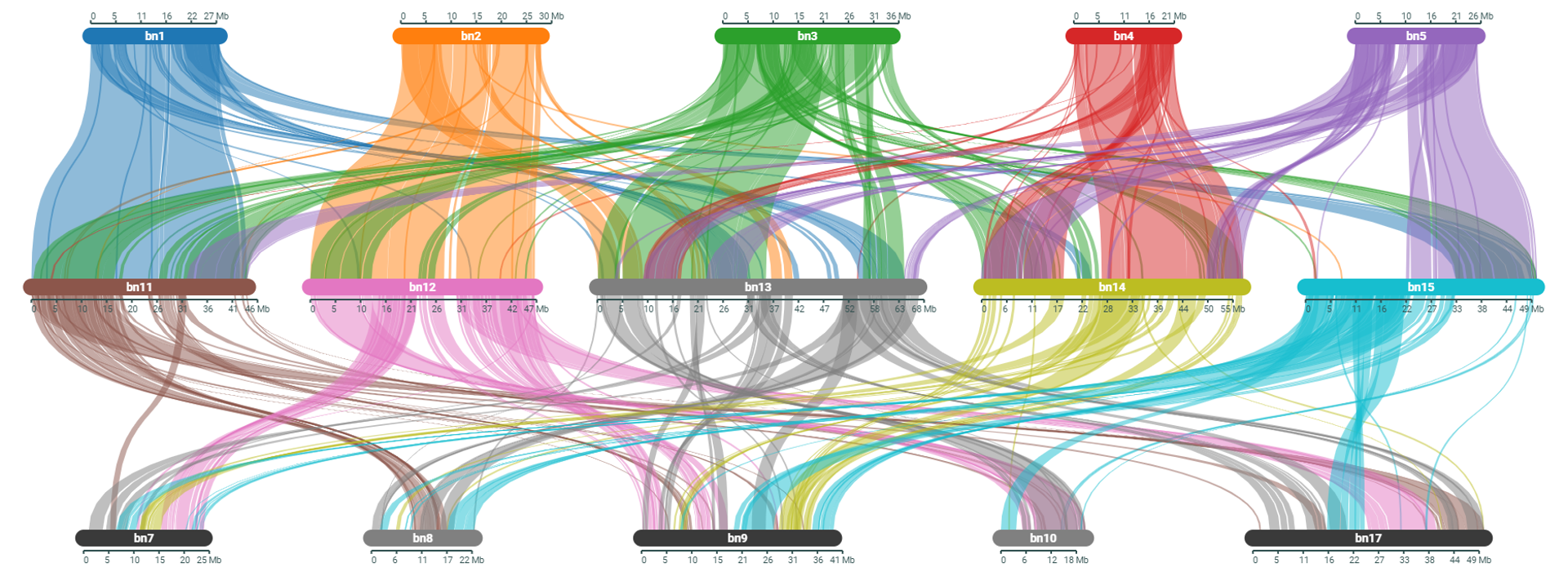 bioinformatic-workflow